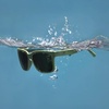 image:imagegoodr Medium Size Tidal G UV400 No Slip No Bounce No TangleLazy River Royalty